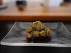 Cannabis flower on a glass plate, Chiang Mai, Top Genetics.