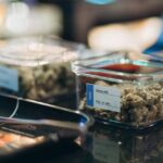 LV Cannabis Boutique BKK