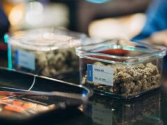 LV Cannabis Boutique BKK, Sukhumvit. Gelato #33 cannabis flower strain displayed. Weed shop in Bangkok, Thailand.