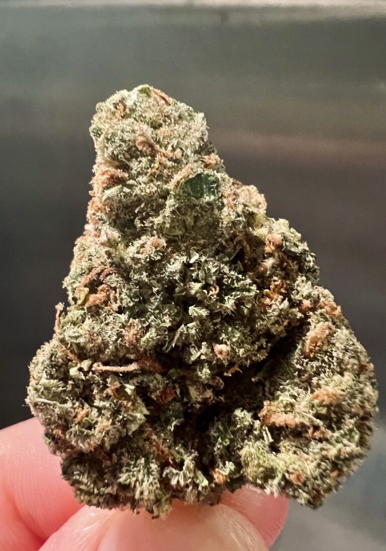 Close-up of a cannabis flower held in hand.