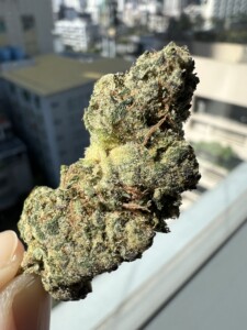 Close-up of a dense, textured cannabis bud with trichomes and orange hairs.