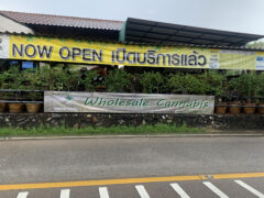 Pureleaf Savers weed shop exterior, Muang Pattaya, Thailand. 
