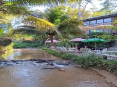 Chief Weed Dispensary exterior in Mae Rim, Chiang Mai, showing a riverside setting with tables, umbrellas and architectural buildings.