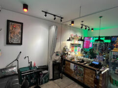 Interior of Harmony Herb in Pattaya, showing cannabis shop and tattoo station.