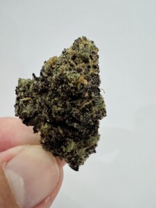 Hand holding a bud of cannabis.