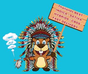 Cartoon beaver in headdress smoking pipe, holding sign with "Thailand's BEST Indica/Sativa Hybrids/CBDs Fast Delivery".
