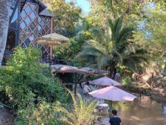 Chief Weed Dispensary, Mae Rim, Chiang Mai, with outdoor seating by a river, cannabis shop, serving food and drinks.