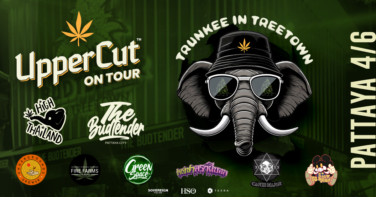 UpperCut on Tour: Trunkee in Treetown on the 6th of April in Pattaya at The Budtender in Tree Town
