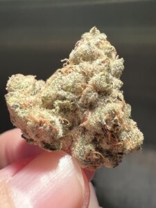 Close-up of a cannabis bud held by a finger.