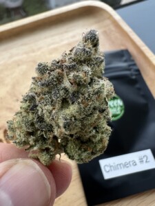 Close-up of a trichome-covered Chimera #2 cannabis bud.