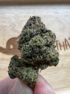 Hand holding a green cannabis flower bud.