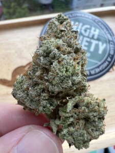 Close-up of a finger holding a cannabis flower bud.