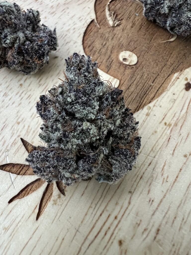 Close-up of frosted purple cannabis flower bud.