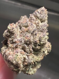 Close-up of a colorful cannabis flower bud.