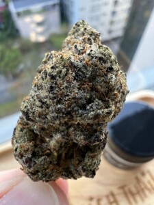Close-up of a textured cannabis flower bud.