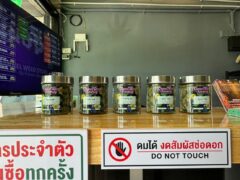 Channel Weed Store DMK display case with cannabis flower jars, Don Muang, Thailand.