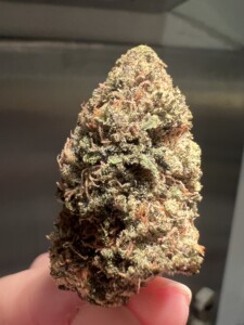Close-up of a hand holding a cannabis flower bud.