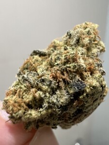 Close-up of a cannabis bud with visible trichomes.