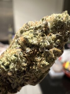Close-up of a cannabis flower bud, showing trichomes.