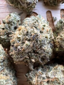 Close-up of multiple cannabis flower buds on a wooden surface.