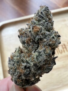 Close-up of a cannabis bud with visible trichomes.