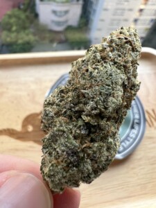Close-up of a marijuana bud being held.