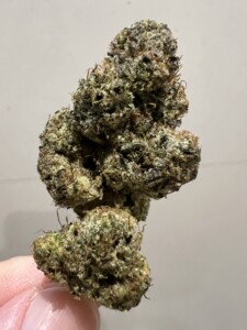 Hand holding a cannabis bud.