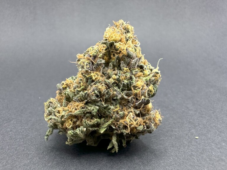 Close-up of a dried cannabis flower bud.