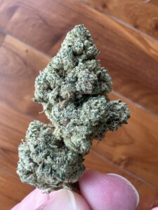 Close-up of a cannabis bud held by a finger.