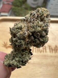 Close-up of a cannabis bud held between fingers.