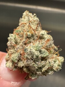 Close-up of a cannabis flower bud with orange pistils.