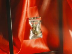 Bag of cannabis flower buds at OH Dispensary, Khao San, Bangkok, Thailand.