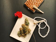 OH Dispensary cannabis flower and pre-rolls on display, Khao San, Bangkok, Thailand. Weed shop promotional shot.