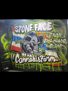 Stone Face" graffiti art featuring an elephant, Thai flag, and "Cannabis Farm" text.