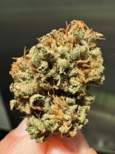 Close-up of a hand holding a green cannabis flower bud.