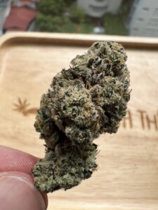 Close-up of a finger holding a cannabis flower bud.