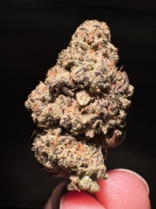 Close-up of a cannabis flower bud held on a fingertip.