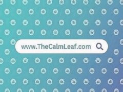 Website address www.TheCalmLeaf.com, with marijuana leaf background, for CBD products in Pattaya City, Thailand.