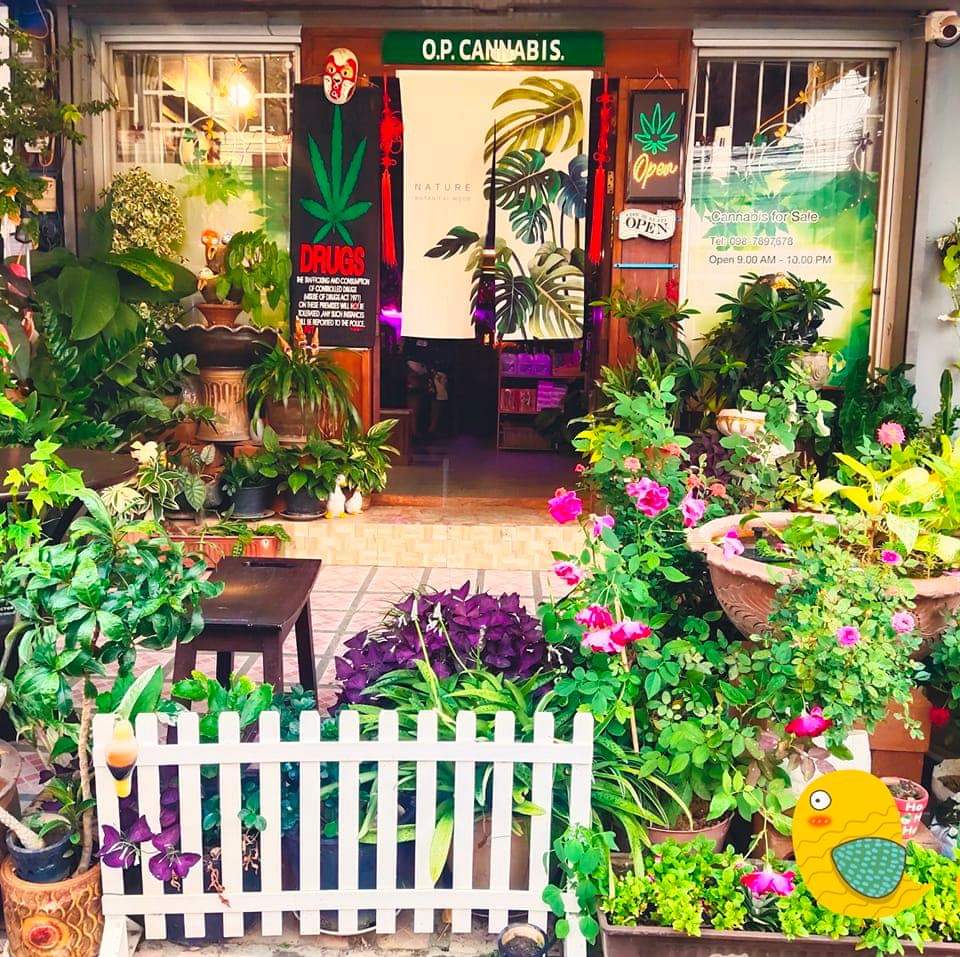 Cannabis shop entrance with lush plants, flowers, and 