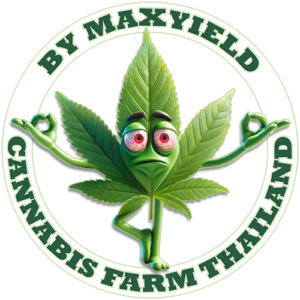 Cannabis farm Thailand logo: Cartoon marijuana leaf character in yoga pose.