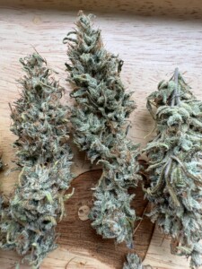Three cannabis flower buds on wood surface.