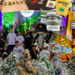 Collage of cannabis products, people, stickers, and a sign reading