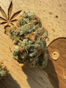 A close-up of a cannabis bud on a wooden surface, carved with a marijuana leaf.