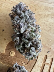 A large, dense cannabis bud with purple and green hues, covered in trichomes, on a wooden surface.