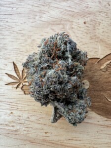image of Naughty Girl Strain