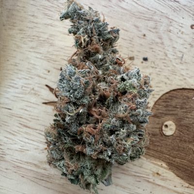 20250404-Blue Dream-White Labs Thailand