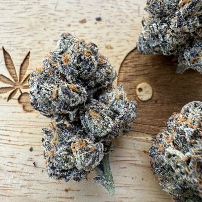 20250418-Amnesia Haze-Fire Farms