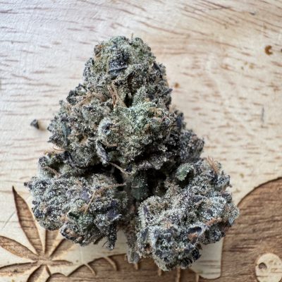 20250429-Goofiez-Humble Gardens