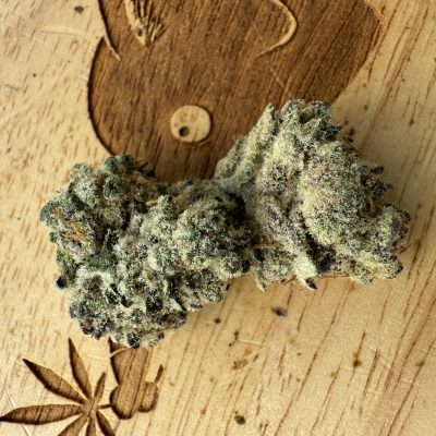 20251106-Mush Marker-Automush_0 20251106-Mush Marker-Automush_0