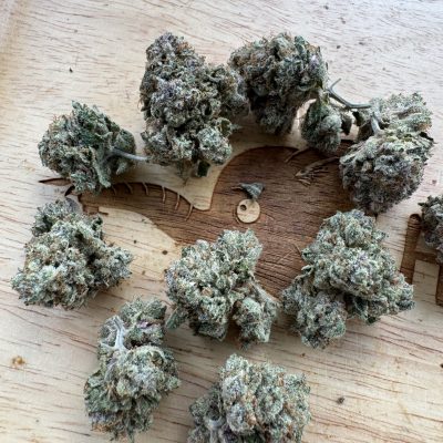 20251109-Triangle Queen-Humble Gardens_0 20251109-Triangle Queen-Humble Gardens_0